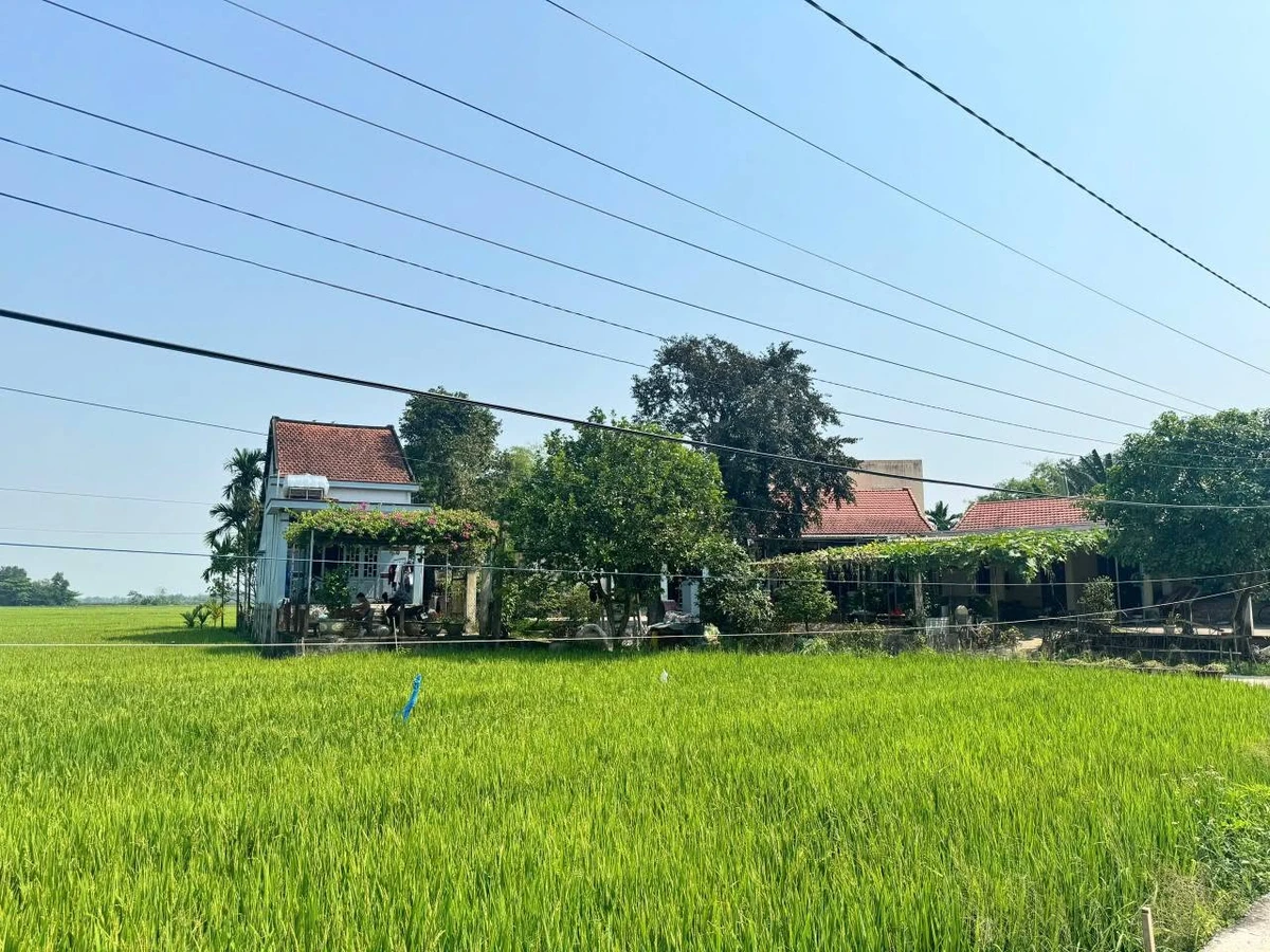 Bán đất Điện Hoà 172m2 giá 1 tỷ - Ảnh thu nhỏ 3