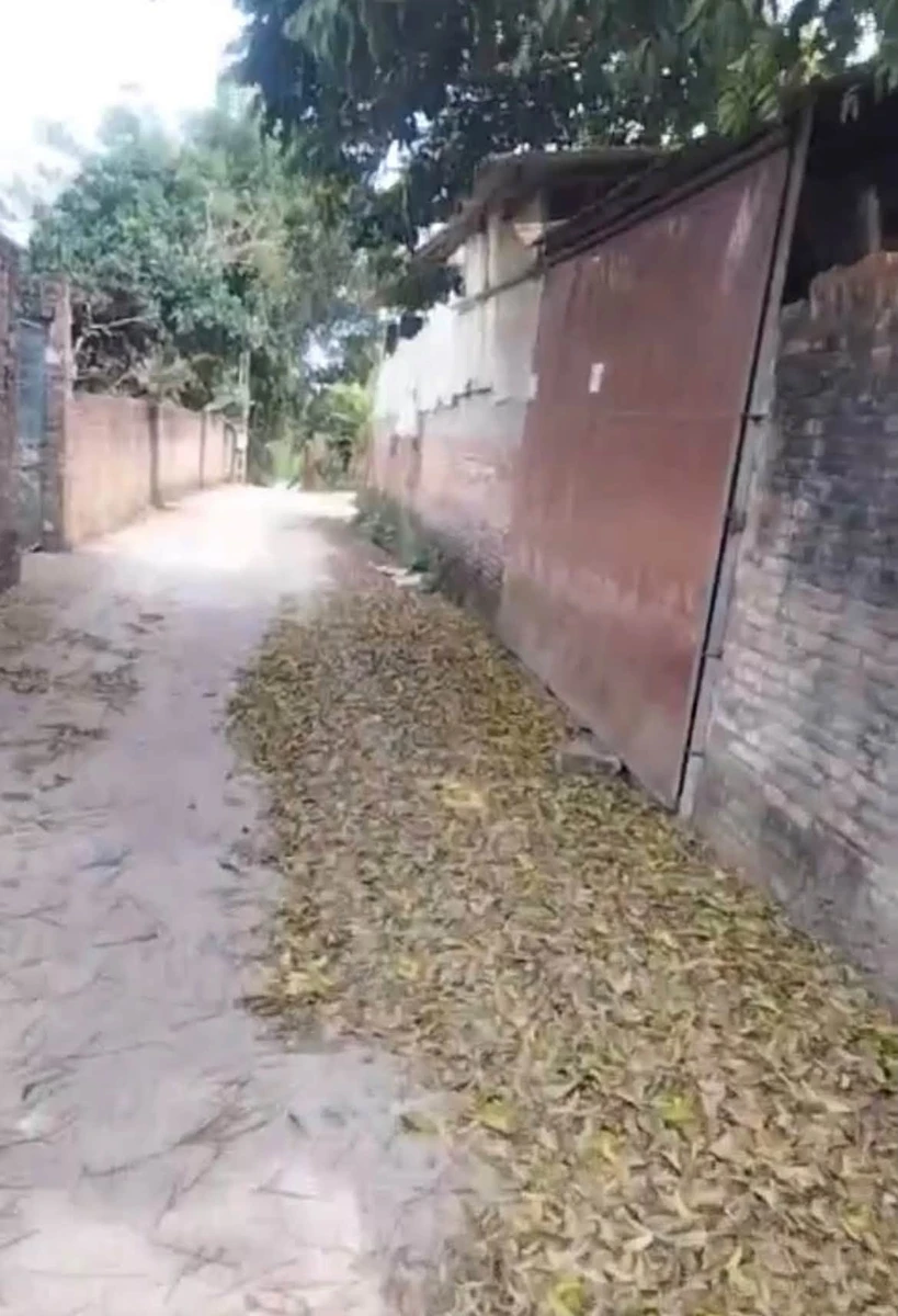 Bán đất nền 100.5m² tại Hoàng Vân, Bắc Ninh giá 390 triệu - Ảnh thu nhỏ 2