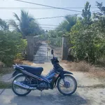 Bán nhà yến 1270m2 tại Thạnh Lợi, Tây Ninh, 4 tỷ - Ảnh thu nhỏ 3