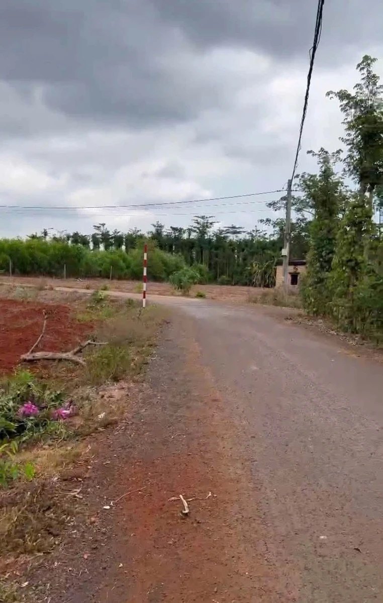 Bán đất vườn 3,1 sào (100m²) Hoà Hiệp, TP HCM - Ảnh thu nhỏ 3