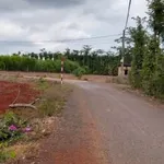 Bán đất vườn 3,1 sào (100m²) Hoà Hiệp, TP HCM - Ảnh thu nhỏ 3