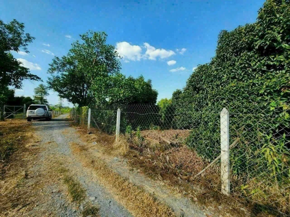 Bán đất vườn măng cụt Cần Giờ 5.888m2 giá 14,7 tỷ - Ảnh thu nhỏ 4