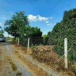 Bán đất vườn măng cụt Cần Giờ 5.888m2 giá 14,7 tỷ - Ảnh thu nhỏ 4