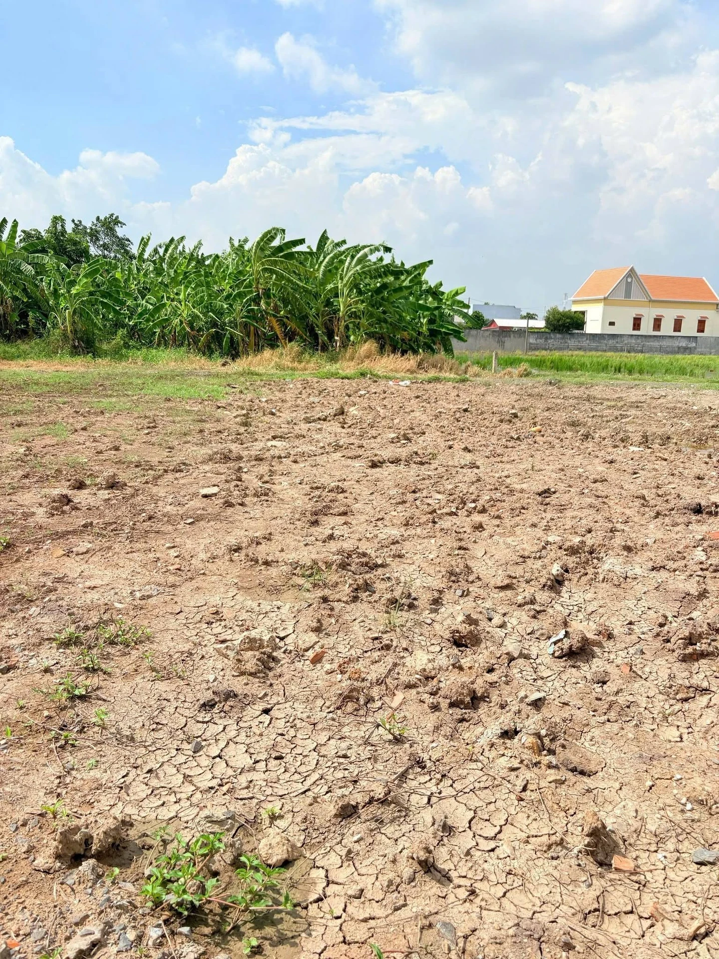 Bán lô đất thổ cư 100m² Thanh Phú Bến Lức Long An - Ảnh 1