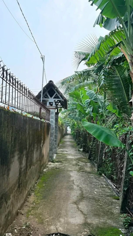 Bán đất Phường Phú Tân Bến Tre 300m² 750 triệu