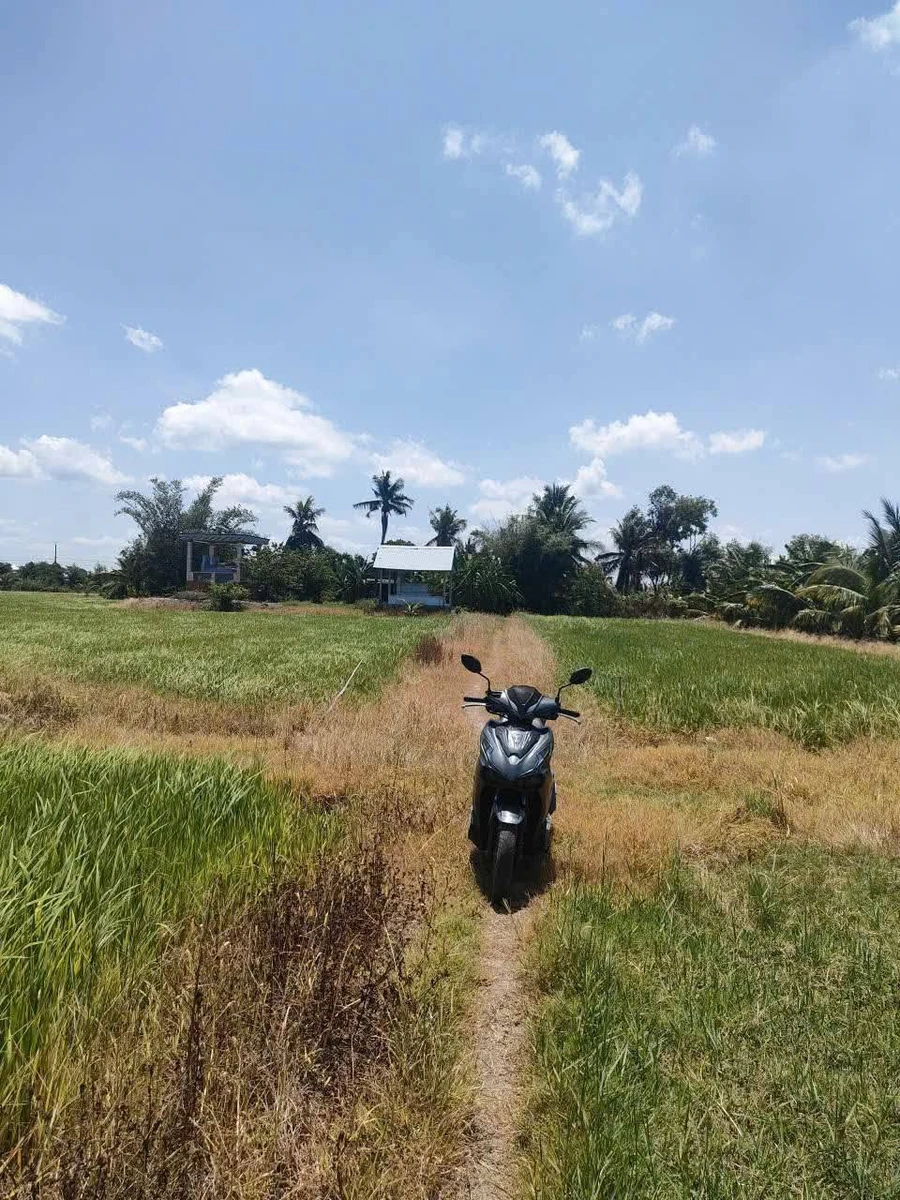Bán đất nông nghiệp 9952m² giá 2 tỷ 5 Tây Ninh - Ảnh thu nhỏ 4