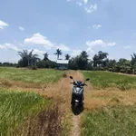 Bán đất nông nghiệp 9952m² giá 2 tỷ 5 Tây Ninh - Ảnh thu nhỏ 4