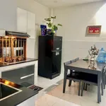 Cho thuê nhà hẻm xe hơi 2PN nội thất đầy đủ Huỳnh Tấn Phát - Ảnh thu nhỏ 3