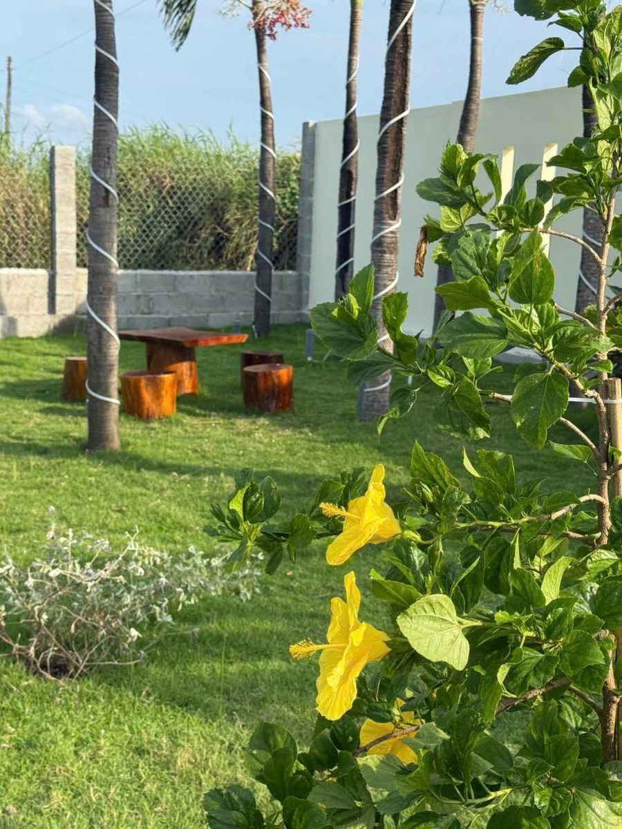 Nhà vườn nghỉ dưỡng Phan Thiết 1.606m² giá 1 tỷ 850 triệu - Ảnh thu nhỏ 2