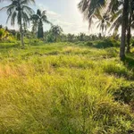 Bán đất 500m2 ngang 13,5m đường đan 4m giá 350 triệu tại Châu Hưng, Vĩnh Long - Ảnh thu nhỏ 3
