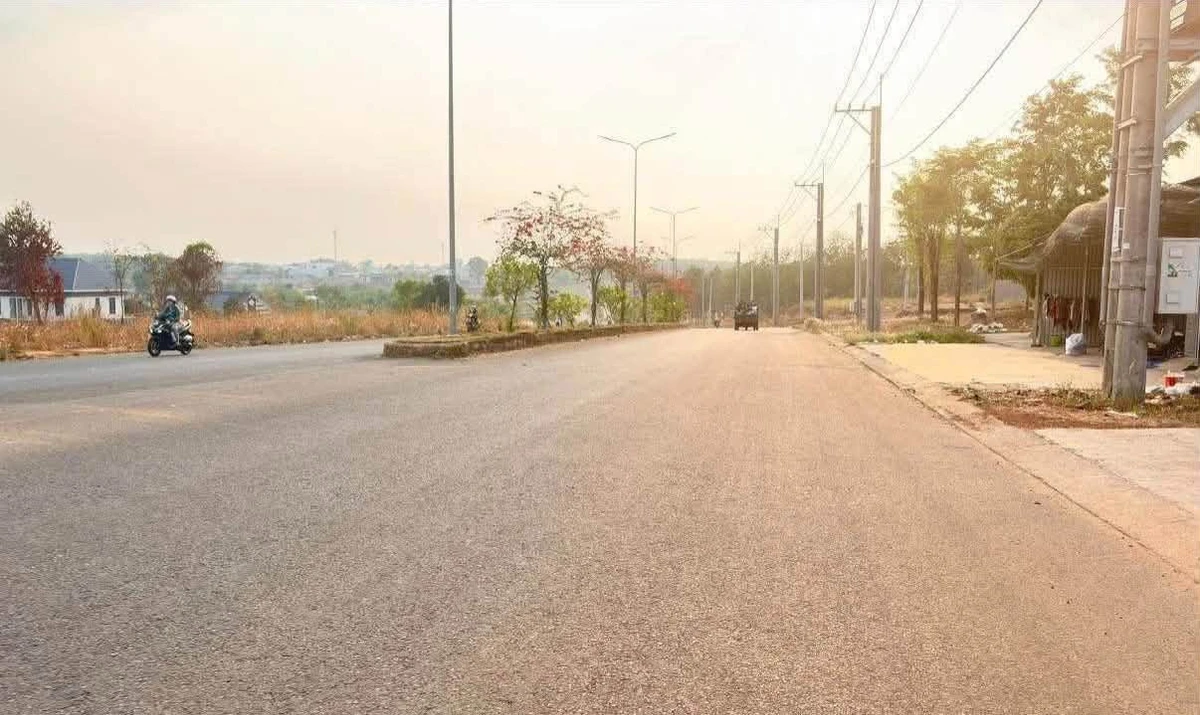Bán đất mặt tiền Vành đai 115m² Đồng Nai - Ảnh thu nhỏ 2