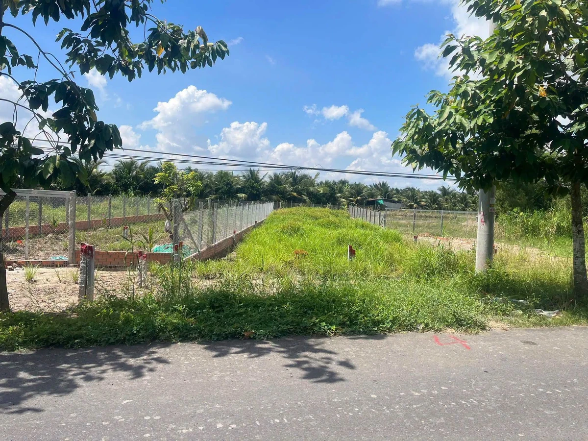 Bán đất thổ cư 485 m² mặt tiền đường tỉnh lộ Mỹ Thuận, Vĩnh Long - Ảnh thu nhỏ 5
