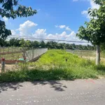 Bán đất thổ cư 485 m² mặt tiền đường tỉnh lộ Mỹ Thuận, Vĩnh Long - Ảnh thu nhỏ 5