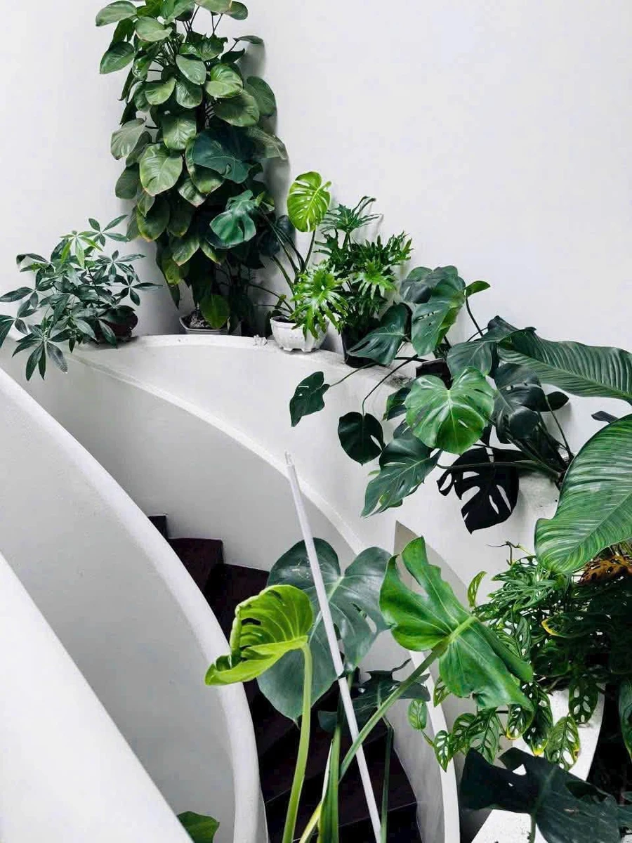 Bán nhà phố Phú Nhuận 55m2 3 phòng ngủ giá hơn 6 tỷ - Ảnh thu nhỏ 4