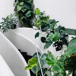 Bán nhà phố Phú Nhuận 55m2 3 phòng ngủ giá hơn 6 tỷ - Ảnh thu nhỏ 4