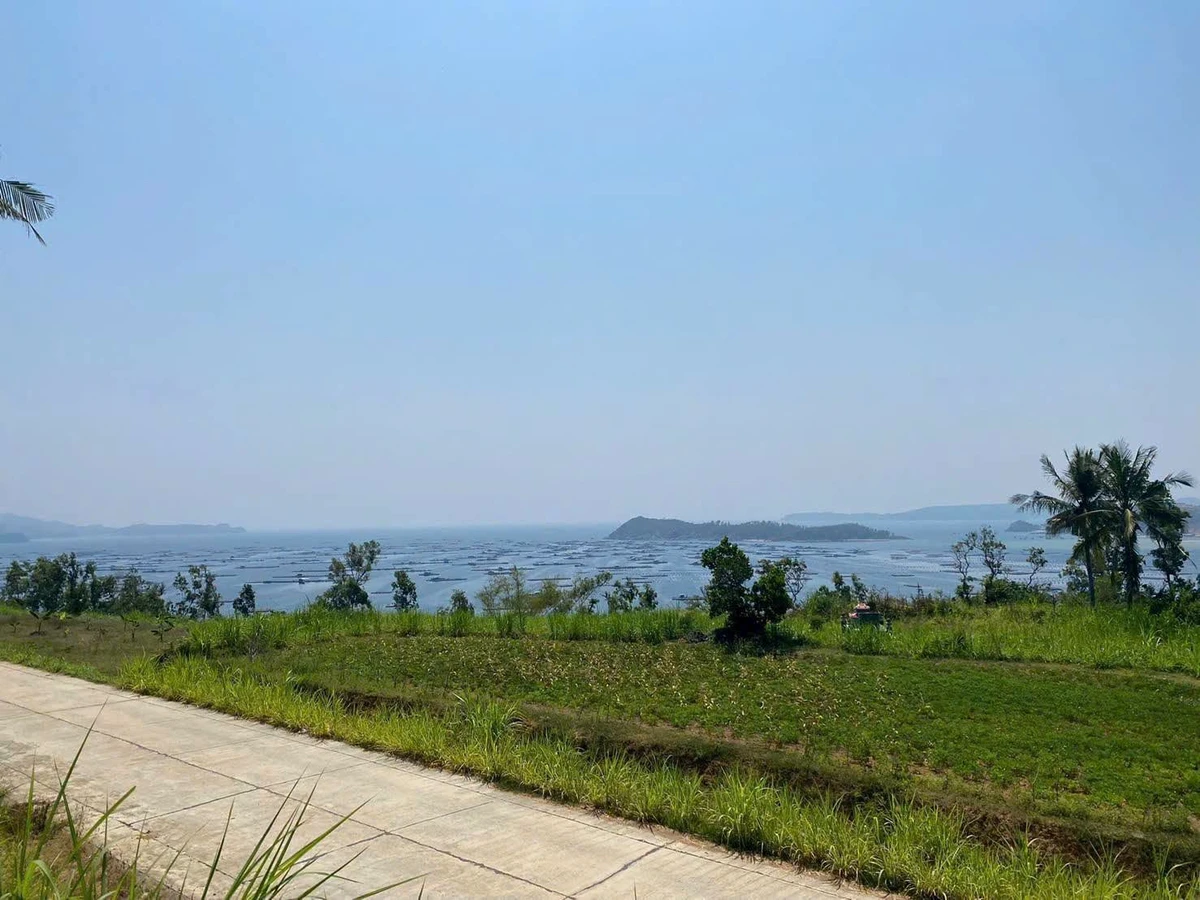 Bán đất nền 235m2 view biển Vịnh Xuân Đài chỉ hơn 1 tỷ - Ảnh thu nhỏ 2