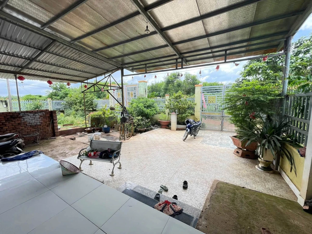 Bán nhà vườn Phường Tân Thiện Đồng Xoài, 6000m², 1.2 tỷ - Ảnh thu nhỏ 5
