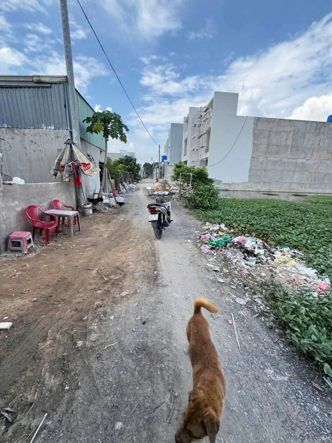 Bán đất xây trọ 5x34m (170m²) 1 tỷ 250 triệu Đức Hòa, Long An - Ảnh 1