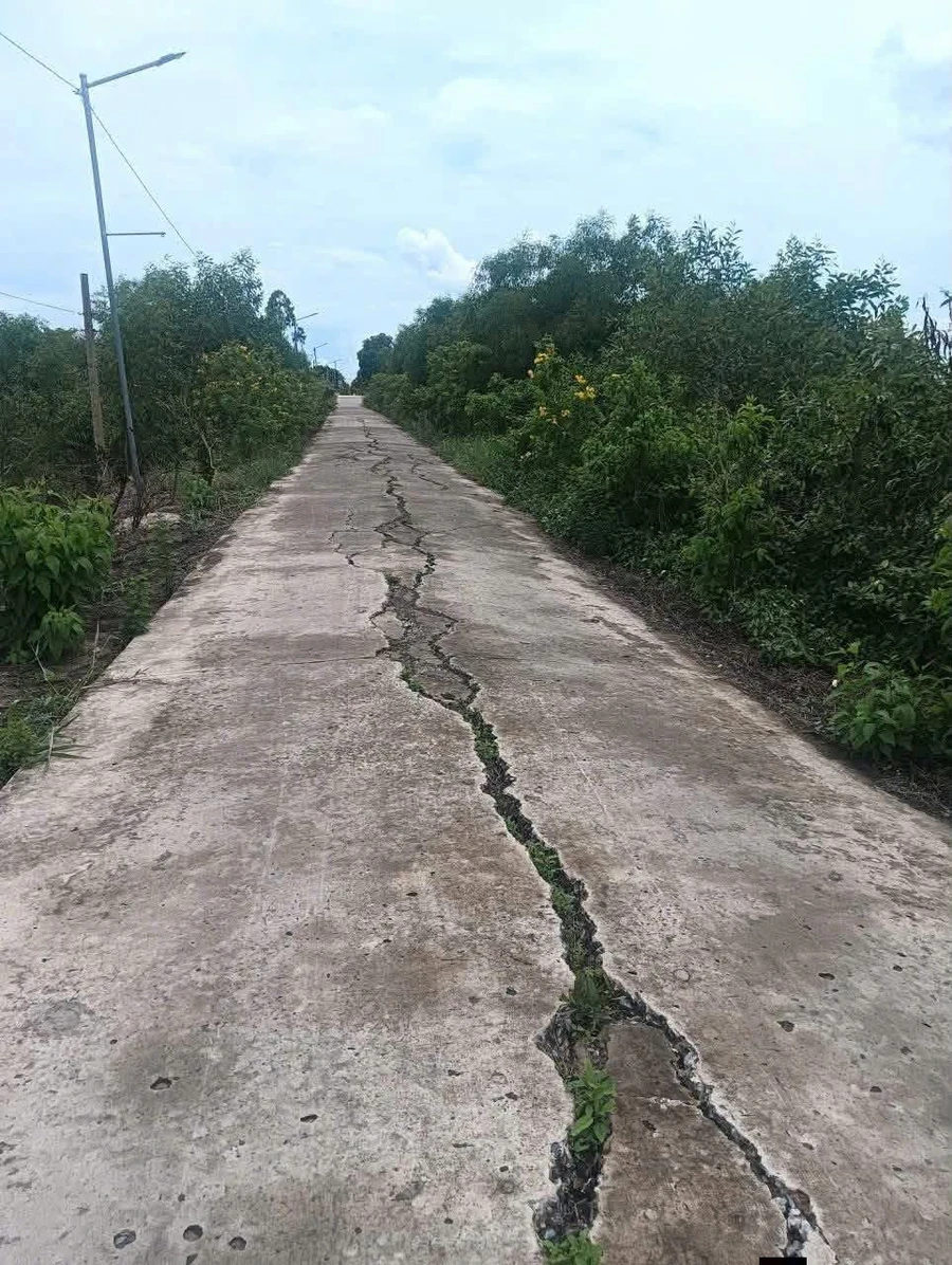 Bán 1 công 7 đất nền Tân Tây Thạnh, Long An - Ảnh 1