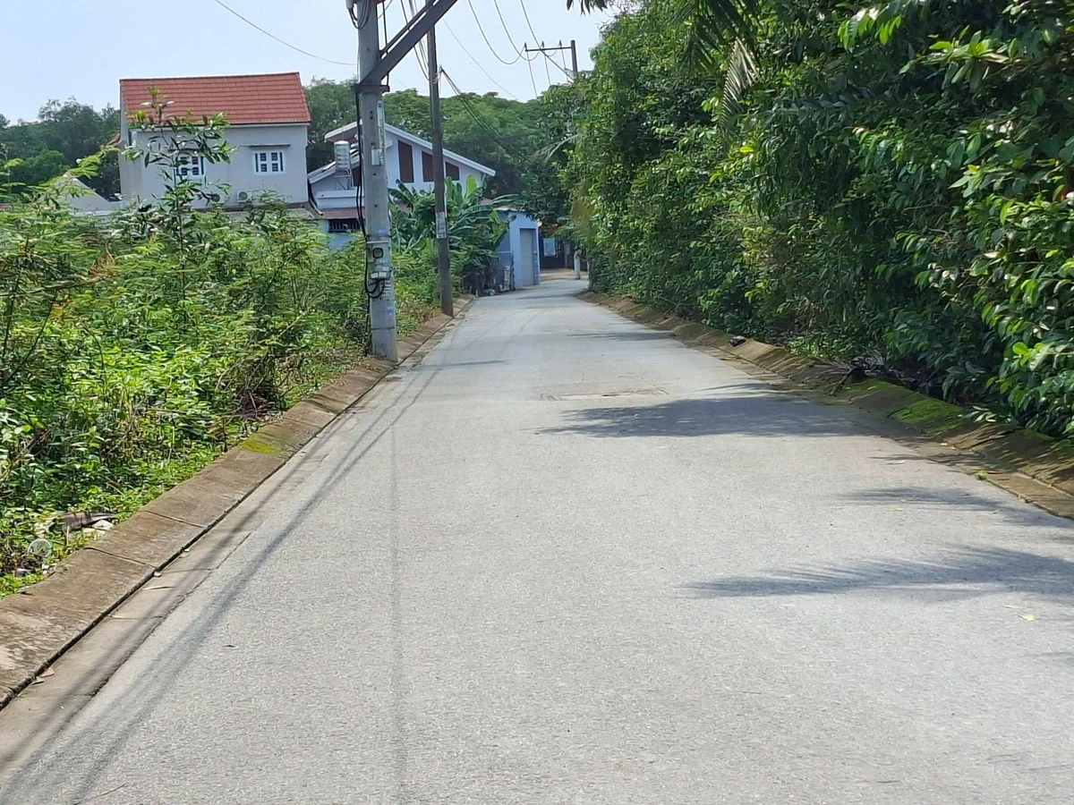 Bán đất 1000m2 khu Áo Dài Long Phước Thủ Đức - Ảnh thu nhỏ 2