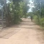 Bán đất trồng xoài 7.000m2, QL20, Cần Giờ - Ảnh thu nhỏ 2
