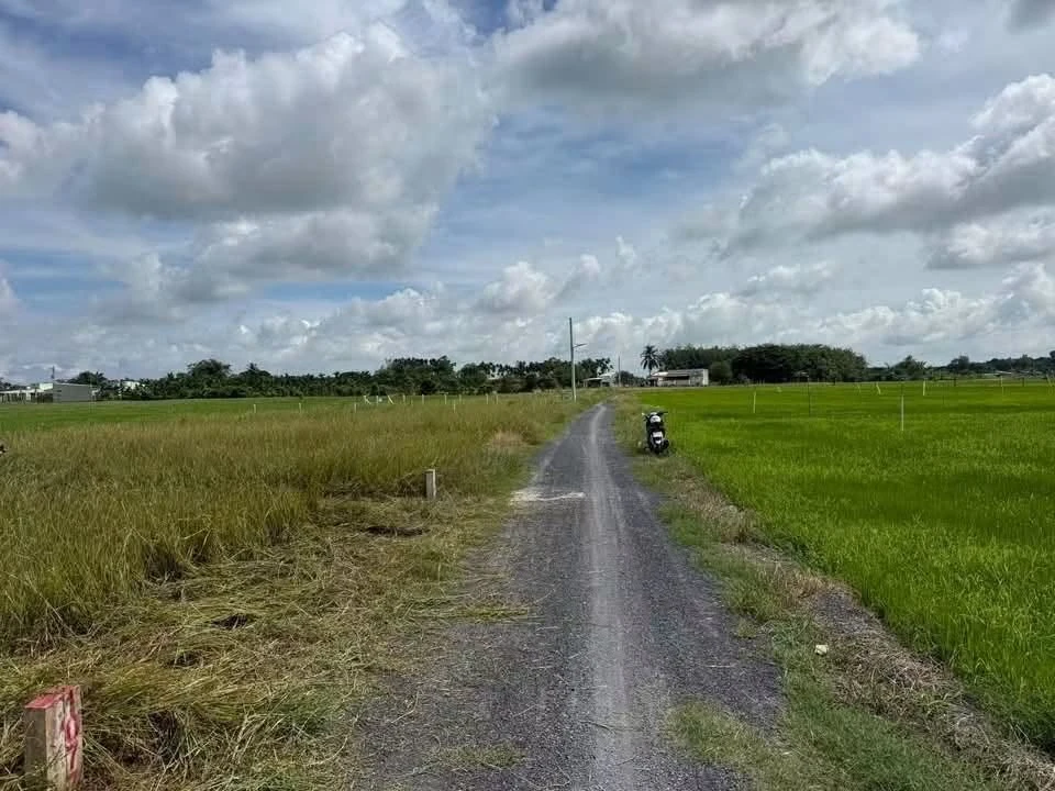 Bán đất 100m² Dương Minh Châu Tân Bình 169 triệu - Ảnh 1