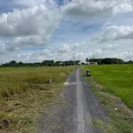 Bán đất 100m² Dương Minh Châu Tân Bình 169 triệu - Ảnh thu nhỏ 1