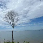 Bán 1.3ha đất vườn xoài Hồ Trị An Đồng Nai sổ riêng - Ảnh thu nhỏ 5