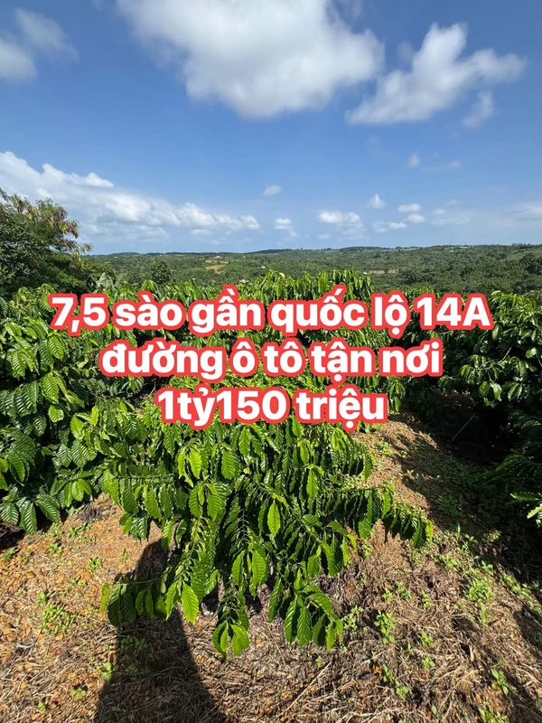 Bán đất nền 7,5 sào tại Xã Trúc Sơn gần Quốc lộ 14A