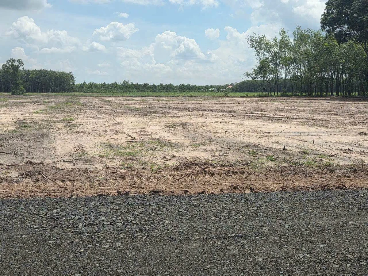 Bán đất 10x50m Khu Phố Giồng Cà, Tây Ninh, 159 triệu - Ảnh thu nhỏ 2