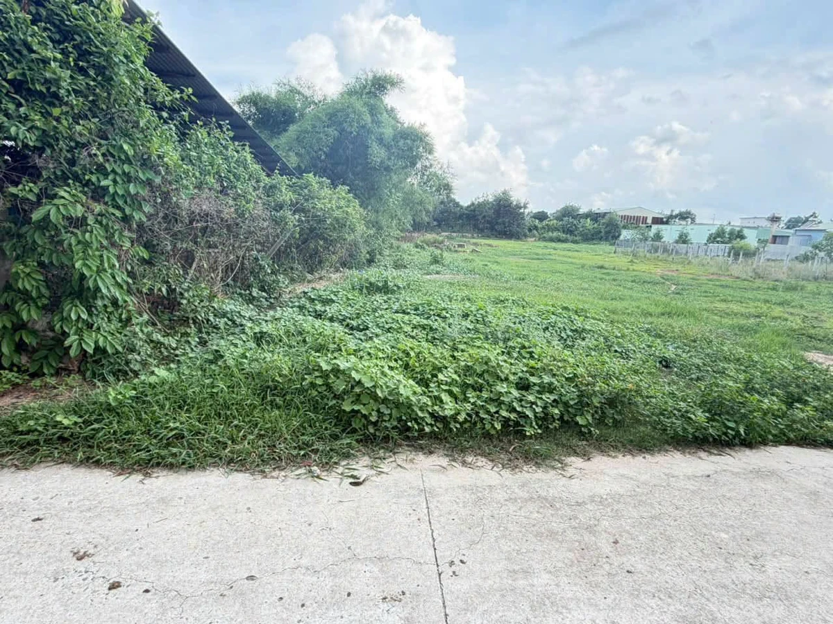 Bán đất hẻm Nguyễn Văn Cừ Tây Ninh 50m² giá 4.75 tỷ - Ảnh 1
