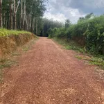 Bán 7 hectare đất cao su Phú Trung, Bình Phước - Ảnh thu nhỏ 3