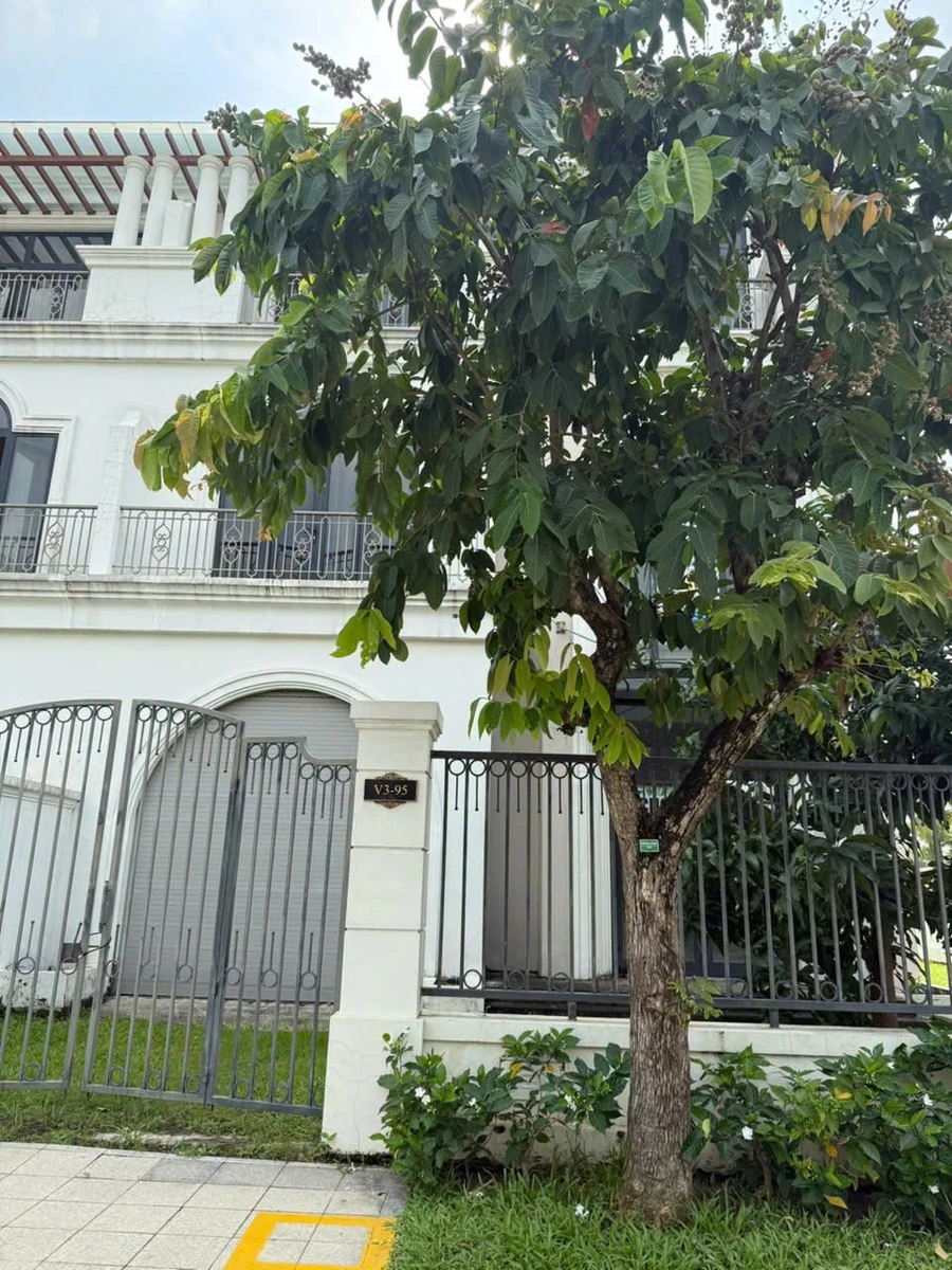 Biệt thự song lập Vinhomes Grand Park 412.5m², 65 tỷ - Ảnh thu nhỏ 3