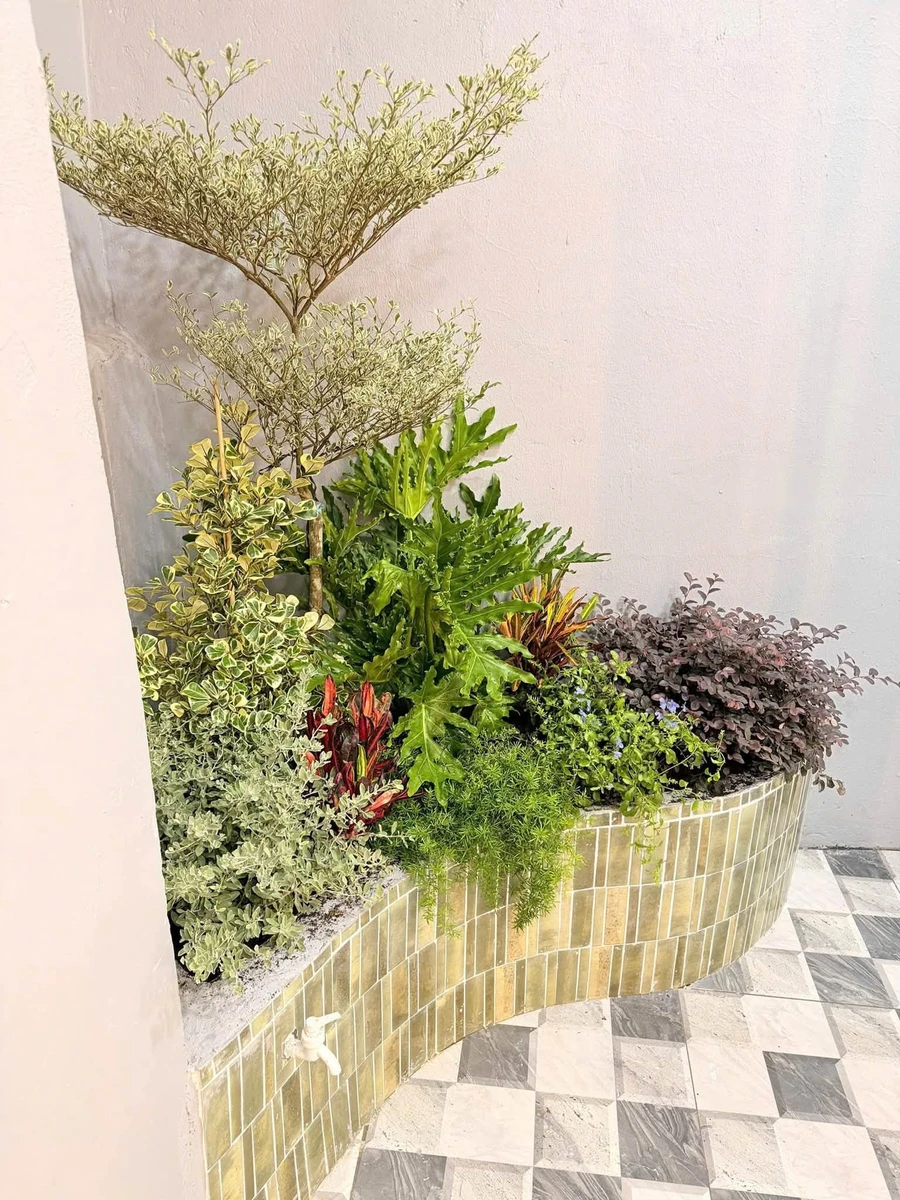 Bán nhà 2 tấm 53m² 3 phòng ngủ Quận 4 Tôn Đản 4,89 tỷ - Ảnh thu nhỏ 2