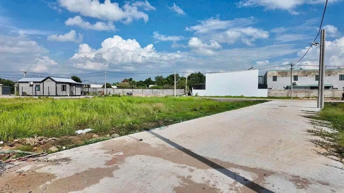 Bán đất góc 2 mặt tiền xây biệt thự mini 1 tỷ Tân Triều - Ảnh thu nhỏ 3
