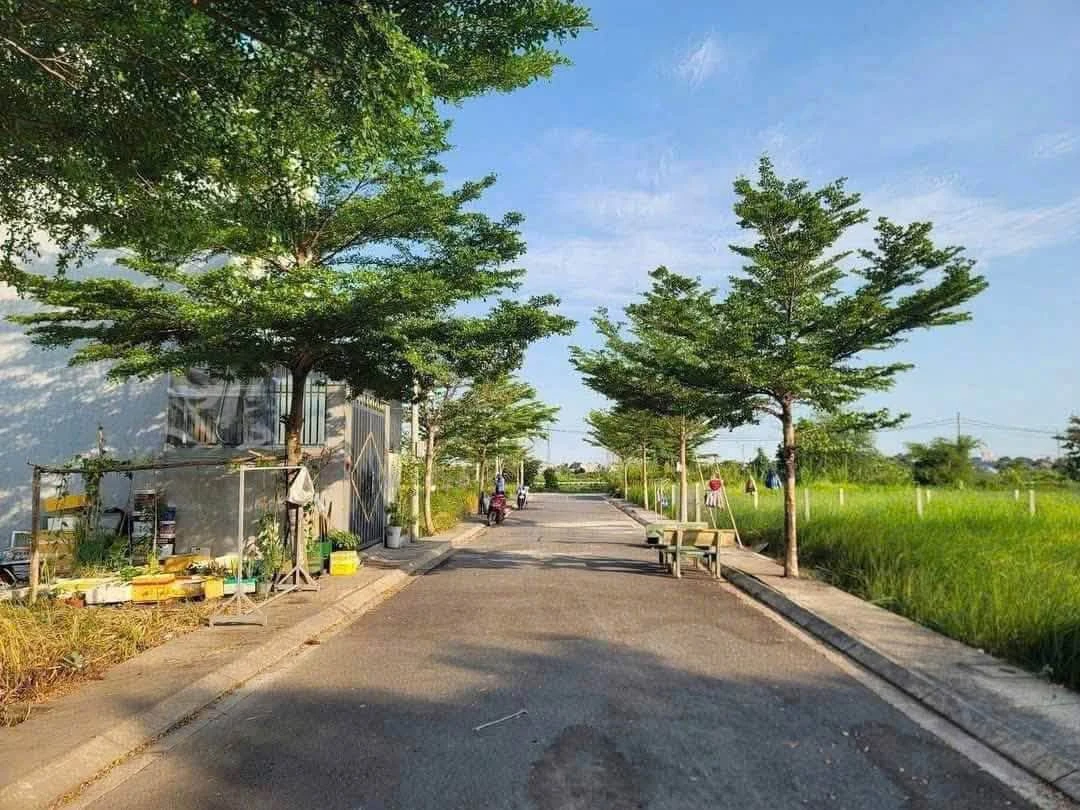 Bán lô đất 80m2 SHR Bình Mỹ 1 tỷ 160 triệu - Ảnh thu nhỏ 2