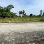 Bán đất thổ cư 5x45m sổ hồng riêng giá 599 triệu tại xã Vĩnh Công, Tây Ninh - Ảnh thu nhỏ 3