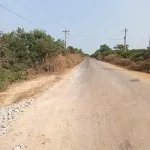 Tôi chính chủ cần bán gấp 10 hecta đất đen đường nhựa lớn giá 1,35tỷ/mẫu tại xã Ninh Điền TN - Ảnh thu nhỏ 5