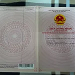 Bán đất thổ cư 345,6m² (12x30m) Tân Thạnh Đông, Củ Chi, giá 4,9 tỷ - Ảnh thu nhỏ 5