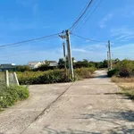 Bán đất thổ cư 119m2 gần Cá Đồng Hóc Môn 580 triệu - Ảnh thu nhỏ 2