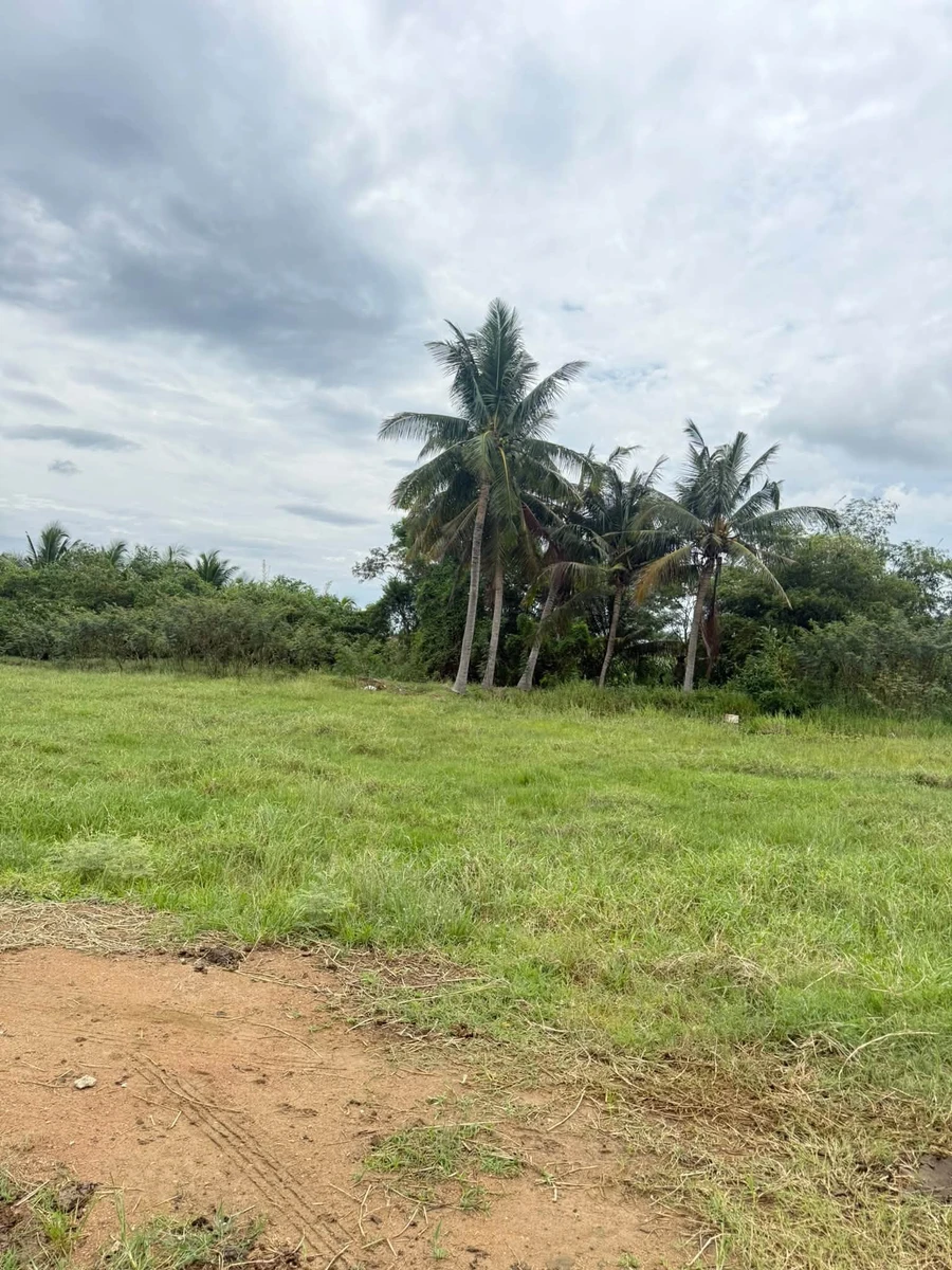 Bán đất 1100m² Phan Thiết 429 triệu - Ảnh thu nhỏ 2
