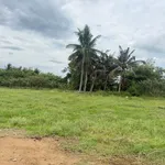 Bán đất 1100m² Phan Thiết 429 triệu - Ảnh thu nhỏ 2