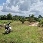 Bán lô đất 1,2 hecta mặt tiền tại Phường Eakao, Đắk Lắk - Ảnh thu nhỏ 3