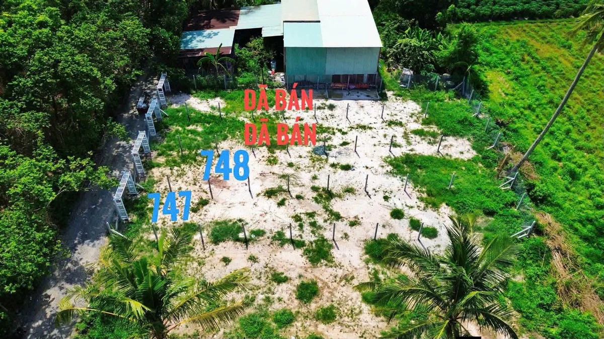 Bán đất Giồng Cà Tây Ninh 140m² 199 triệu - Ảnh 1