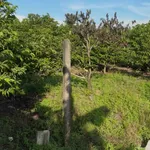 Bán đất Dương Minh Châu Tây Ninh 220m² 580 triệu - Ảnh thu nhỏ 1