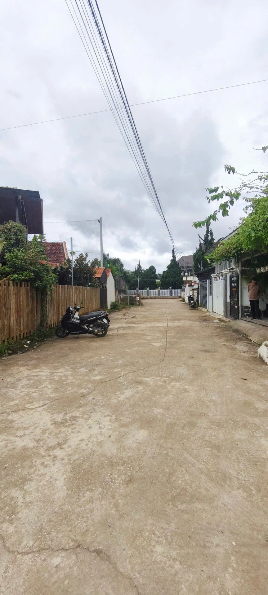 Bán nhà sân vườn nghỉ dưỡng 250m² đường Yết Kiêu, Phường Cam Ly, Đà Lạt - Ảnh 1