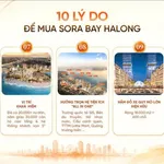 Bán shophouse Sora Bay Hạ Long 525m2 hướng biển - Ảnh thu nhỏ 3