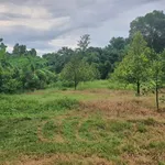 Bán đất 2 sào Củ Chi, mặt tiền, view suối, có cây ăn trái - Ảnh thu nhỏ 2