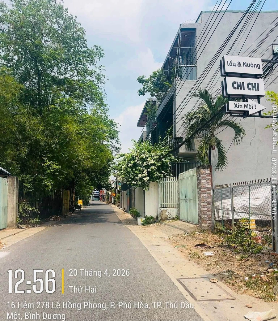 Bán đất 339m2 (211m2 thổ cư) có sẵn dãy trọ 8 phòng tại Phú Hòa, Bình Dương - Ảnh thu nhỏ 2