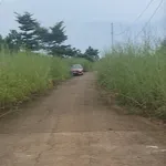 Bán 3 hecta đất nông nghiệp tại xã Nghĩa Trung, Bù Đăng - Ảnh thu nhỏ 2